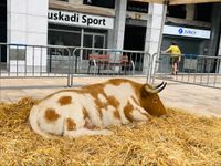 IMG_1255
