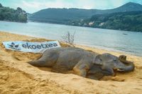 37361217_10156581983594962_8652469470448582656_n