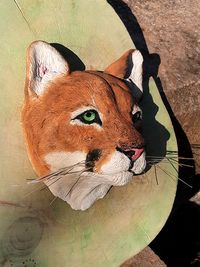 20240131_111834 - copia