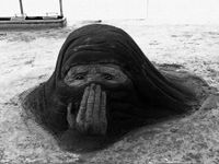 11986333_10204595877409041_5554135661835907703_n