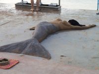 13466454_10206184657527551_7436574937773646567_n