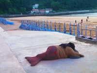 66638152_10213714601971456_5316620821786001408_n